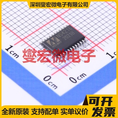 NS4216 ETSSOP-24-EP 音频放大器芯片IC