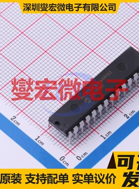 dsPIC33EV256GM102-I/SP SPDIP-28-300mil DSP/DSC数字信号处理器