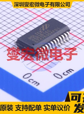 BS83B16C SSOP-24-150mil MCU/MPU/SOC微处理器控制器