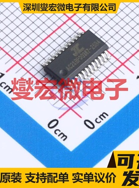 AC6925B4 QSOP-24 DSP/DSC数字信号处理器