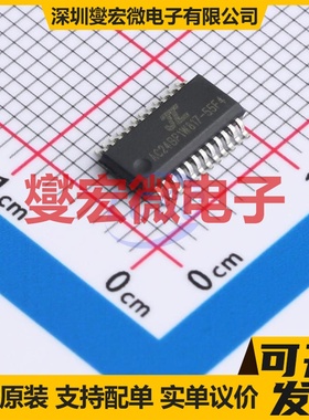 AC6955F4 QSOP-24 DSP/DSC数字信号处理器
