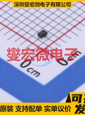 RSM002P03T2L SOT-723 P 30V 200mA 场效应管晶体管