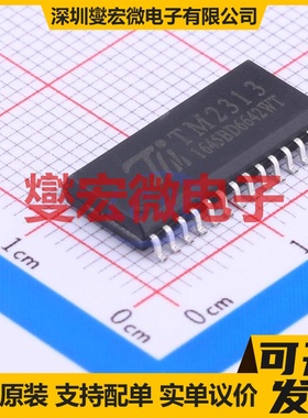 TM2313 SOIC-28-300mil 音频接口芯片IC