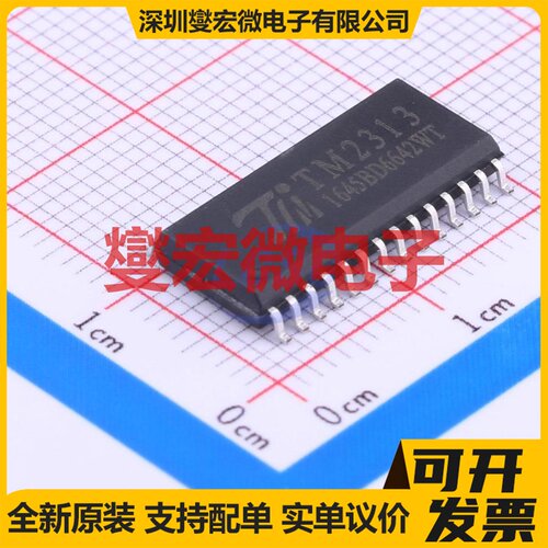 TM2313 SOIC-28-300mil 音频接口芯片IC