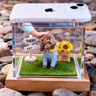 宠物全息投影仪三d全息投影装置3d全息投影盒子ai宠物纪念