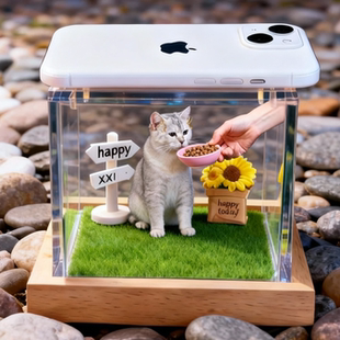 全息投影宠物影像盒 小猫咪全息投影