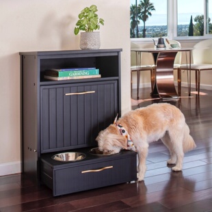 包邮出口欧美Ecoflex宠物高奢储粮餐桌中小型犬碗粮桶狗碗狗粮柜