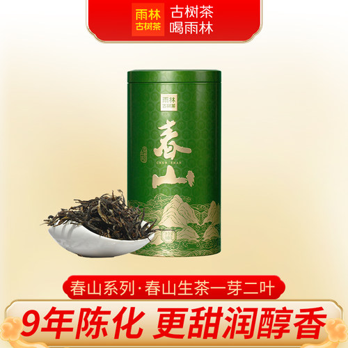 雨林古树2023春山生普洱茶散茶