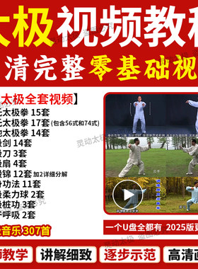 0基础太极拳教程U盘全套
