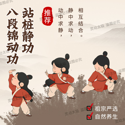 八段锦教学视频课程U盘太极拳