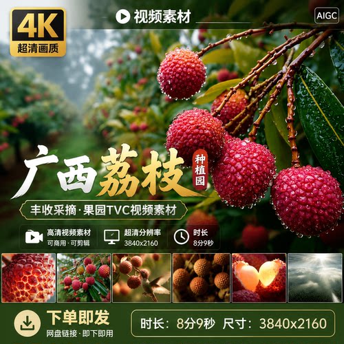 高清广西荔枝种植园丰收采摘果肉大红袍妃子笑果园TVC视频素材