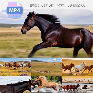 高清万马奔腾草原骏马群奔跑飞跃马踏水花团队宣传片素材视频素材