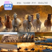 高清奔腾 骏马群万马驰骋蒙古草原牧马人赶马跑马比赛视频素材