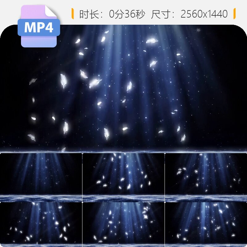 高清羽毛芭蕾舞天鹅湖蓝色星空粒子婚礼爱情浪漫梦幻钢琴视频素材图片