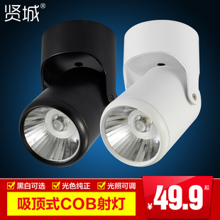 贤城led高端背景墙射灯cob客厅照画灯聚光5w10w吸顶式 免开孔明装