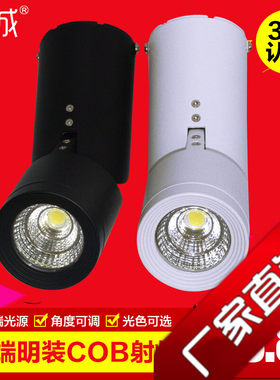 贤城吸顶式咖啡厅可调角度射灯