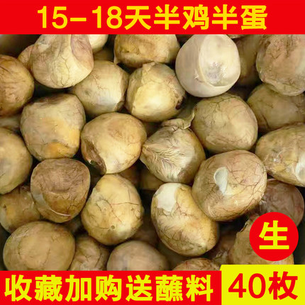 16-18天半鸡半蛋生的毛蛋鸡胚蛋毛鸡蛋新鲜喜蛋旺鸡蛋40枚包邮