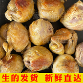 40枚新鲜毛蛋烧烤摆摊商用鸡胚蛋喜蛋毛鸡蛋18天半鸡半蛋21天全鸡