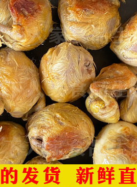 40枚新鲜毛蛋烧烤摆摊商用鸡胚蛋喜蛋毛鸡蛋18天半鸡半蛋21天全鸡