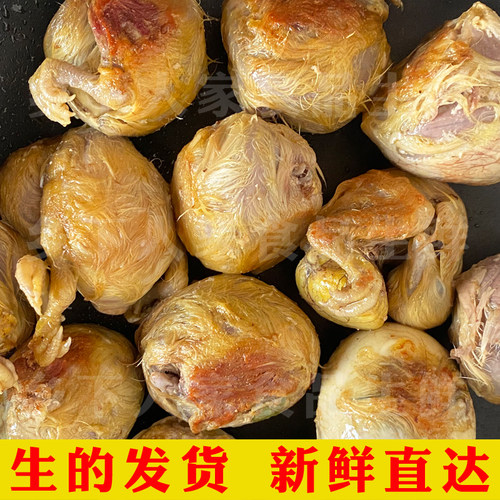 40枚新鲜毛蛋烧烤摆摊商用鸡胚蛋喜蛋毛鸡蛋18天半鸡半蛋21天全鸡