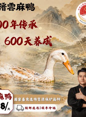 地理标志天然生态缙云老麻鸭