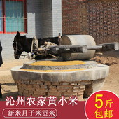 山西黄小米2025年新米农家羊肥小米脂产妇糯小米粥五谷杂粮2500g