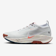 Nike/耐克Pegasus Trail 5 GORE-TEX越野跑步鞋FQ0908-003