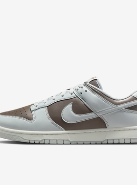 耐克Nike Dunk Low Retro男子运动鞋板鞋