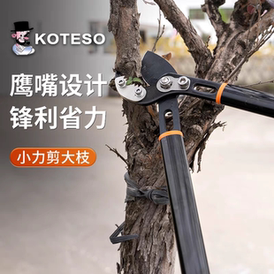 KOTESO老人头KT131鸟嘴粗枝剪修枝剪树枝园林剪果树修剪高空剪刀
