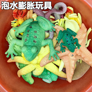 泡水动物青蛙儿童长大膨胀海星男孩非玩具仿真模型蜥蜴泡水膨胀