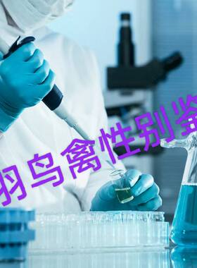 无卡一只灵羽鸟禽DNA鉴定验卡玄凤牡丹全鹦鹉柯尔鸭性别公母检验