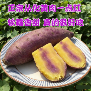 正宗从化一点红番薯高山新鲜现挖冰淇淋紫心小粉软糯香甜地瓜3斤5