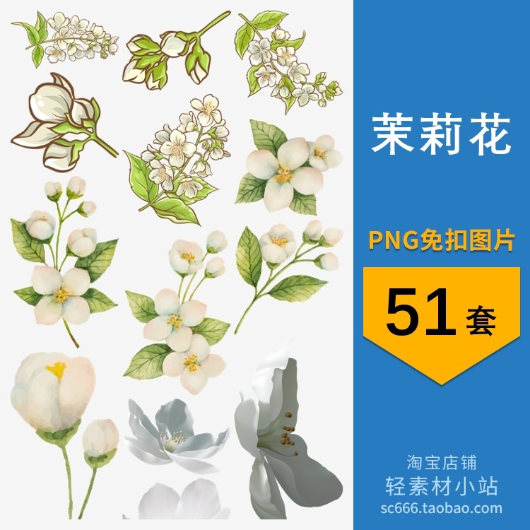 png免抠图片茉莉花卡通手绘水彩图案元素电子手账免扣透明素材