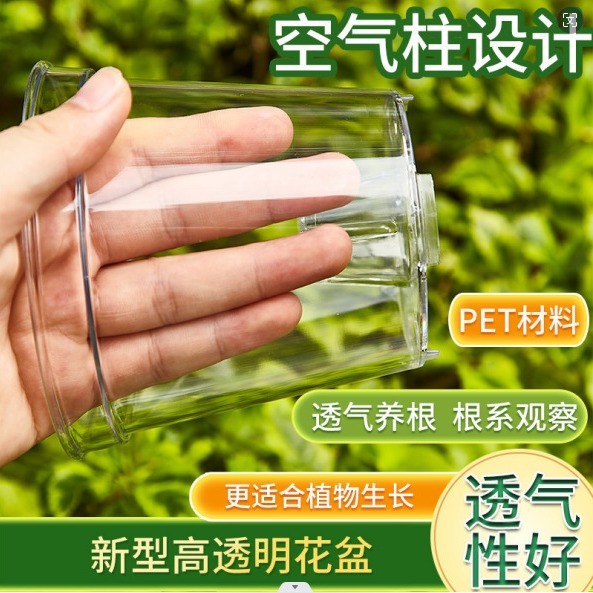 新款高透明蝴蝶兰专用观根花盆