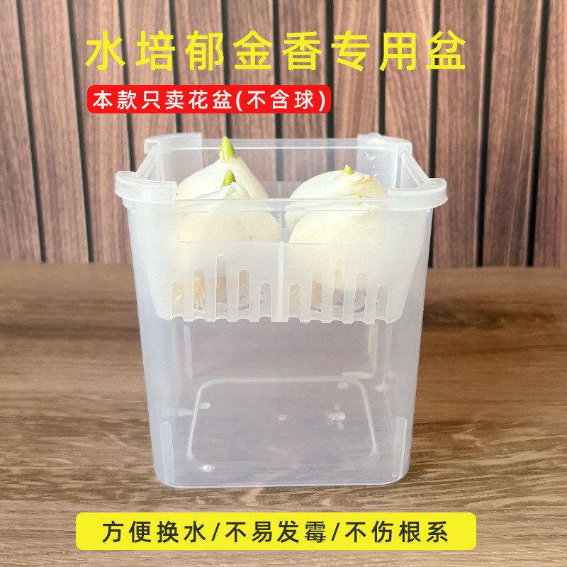 水培专用方形加厚塑料定植花盆