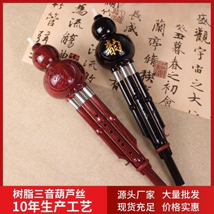 云南民族乐器c调降b调儿童初学者入门成人中小学生自学胡芦丝升级