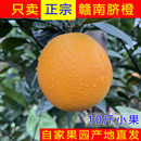 赣南脐橙正宗江西赣州寻乌甜橙子新鲜当现季 水果产地直发小果