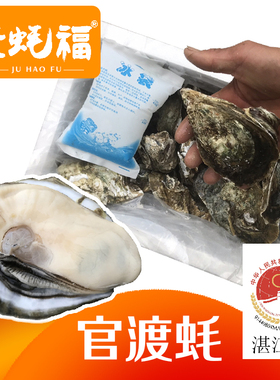 聚蚝福正宗广东湛江官渡生蚝野生带壳烧烤大中10斤刺身海蛎子肉礼