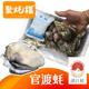 聚蚝福正宗湛江官渡生蚝野生带壳烧烤大中10斤刺身海蛎子肉礼情人