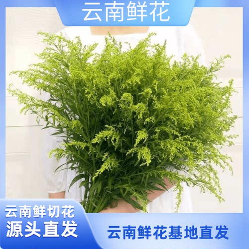 黄英配草和尤加利叶配草鲜花