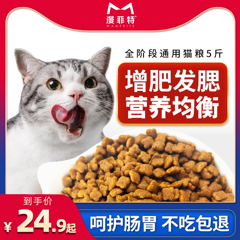 全阶段全价主食猫粮喂养流浪猫
