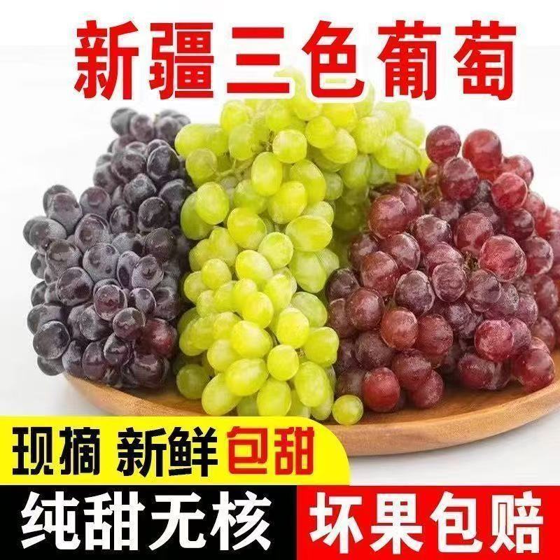 正宗新疆吐鲁番三拼无籽葡萄礼盒