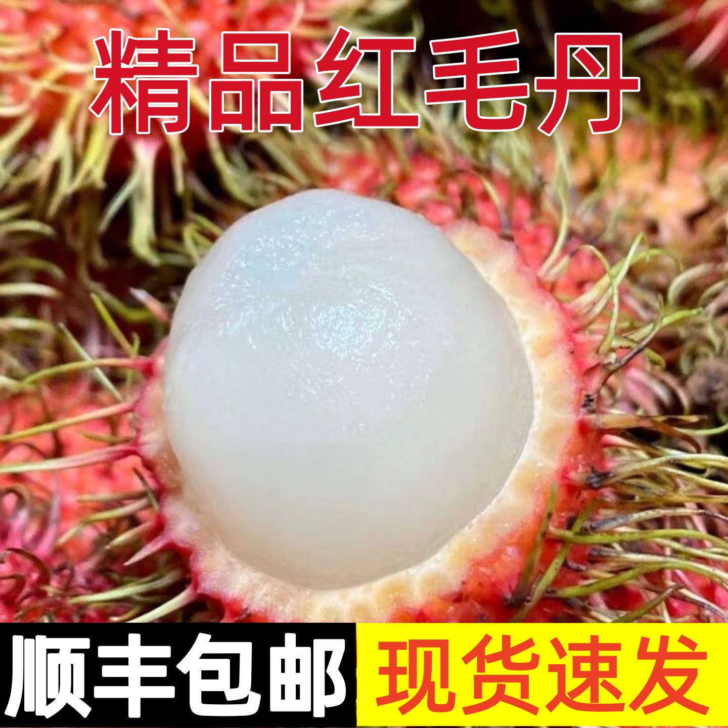 顺丰包邮速发新鲜现摘正宗红毛丹