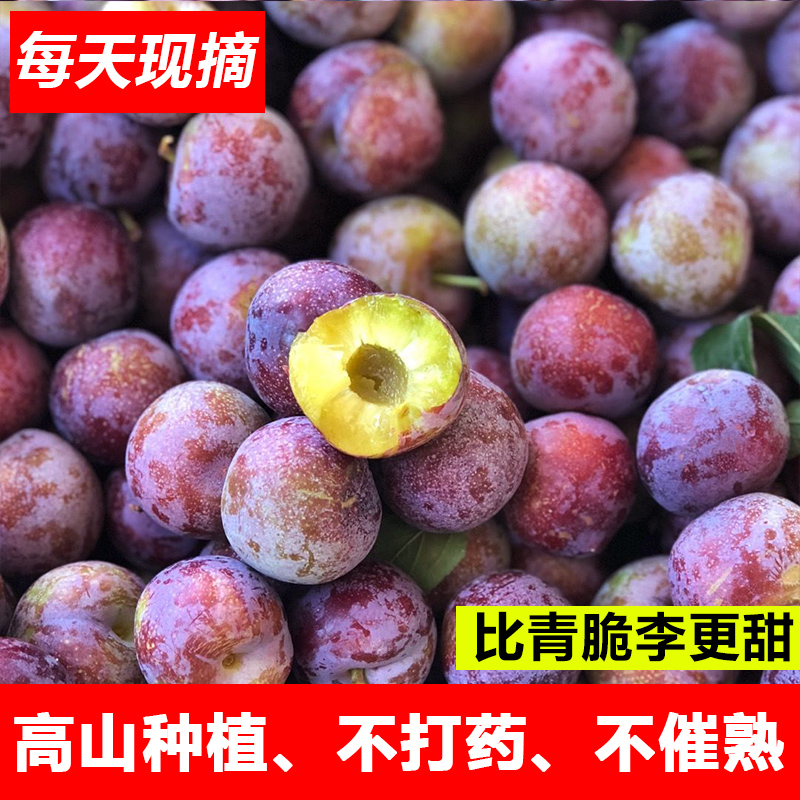 顺丰汶川高山红脆李礼盒包装新鲜