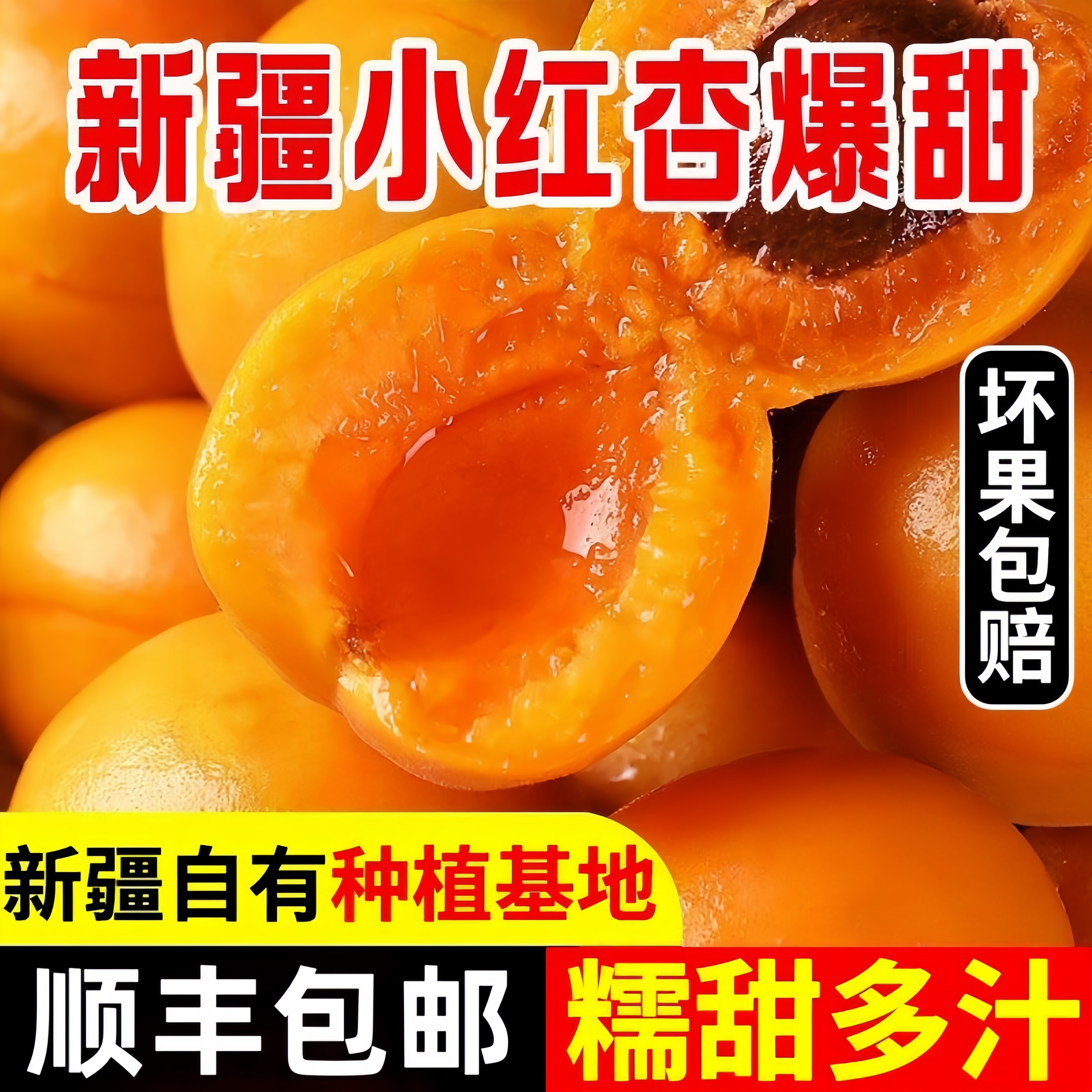 新疆小红杏吊杆新鲜杏子甜孕妇阿克苏黄皮干杏水果