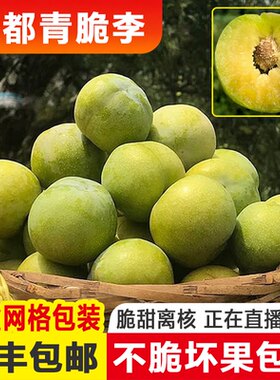 青脆李不脆包赔新鲜采摘顺丰包邮