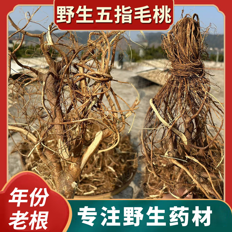 野生五指毛桃根中药材煲汤材料
