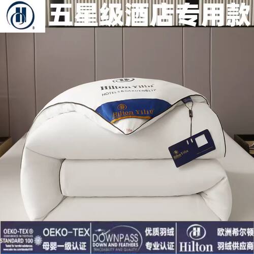 出口五星级酒店羽绒被白鹅绒鹅绒宾馆被子春秋被冬被加厚学生宿舍