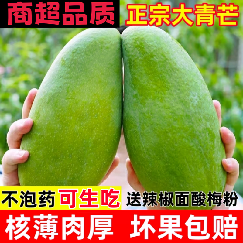 正宗大青芒广西金煌芒当季生吃新鲜大芒果脆酸甜青皮无丝芒果越南
