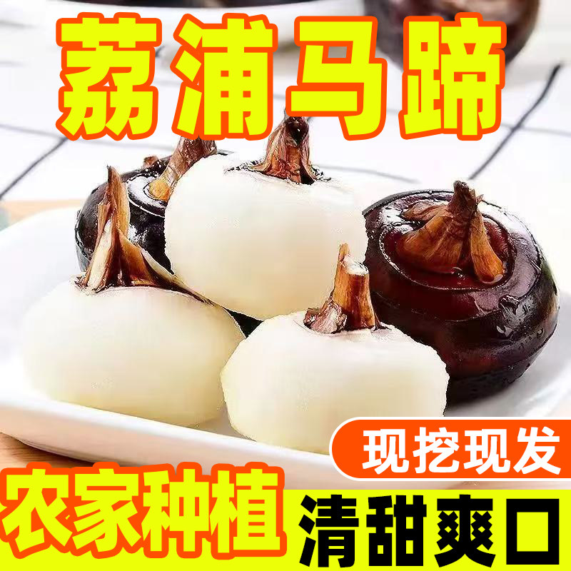 【荔浦马蹄】新鲜现挖广西荸荠马蹄地栗当季水果脆甜多汁化渣蔬菜,水产肉类/新鲜蔬果/熟食,荸荠/马蹄,淘宝优惠券,粉丝福利购,淘宝优惠卷